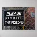 Suche nach tauben poster Zeichen