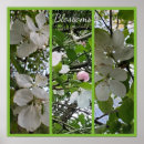 Suche nach bearbeiten poster Natur