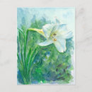 Suche nach osterlilien Jede person