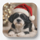 Suche nach shih tzu teller Weihnachten