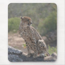 Suche nach großkatzen mousepads Tiere