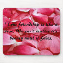 Suche nach frienship Blume