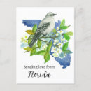 Suche nach florida orangen postkarten Jede person