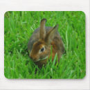Suche nach rex mousepads Häschen