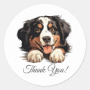 Suche nach bernese mountain dog aufkleber Berner hund