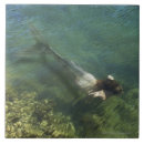 Suche nach meerjungfrau fliesen Unterwasser