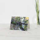 Suche nach nest karten Vogel