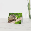 Suche nach niedliche babytiere karten Natur