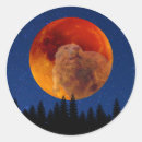 Suche nach beaver aufkleber Mond