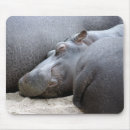 Suche nach flusspferd mousepads Natur