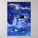Suche nach killer whale poster Ozean