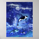 Suche nach killer whale poster Ozean
