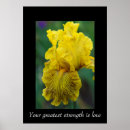 Suche nach makro poster Iris