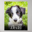 Suche nach haustierartikel Familie