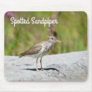 Suche nach gepunktete mousepads Tierwelt