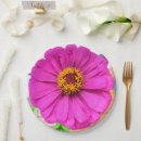 Suche nach zinnia Blütenblätter