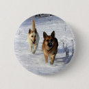 Suche nach hund im schnee buttons Hunde fotograf