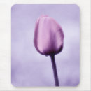 Suche nach romance mousepads Für alle