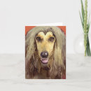 Suche nach afghanisch karten Hunde