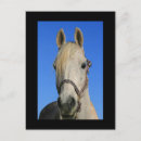 Suche nach weiße wolke postkarten Land