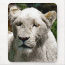 Suche nach lösungen mousepads Jede person