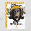 Suche nach flat coated retriever Weihnachten