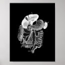 Suche nach schwarze menschen poster Anatomisch