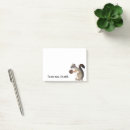 Suche nach nagetier post it Tierwelt