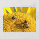 Suche nach hummel postkarten Jede person