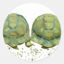 Suche nach havana aufkleber Schildkröten