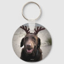 Suche nach ren accessoires Geweihe