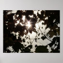 Suche nach dunkler wald poster Jede person