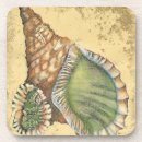 Suche nach muscheln untersetzer Sand