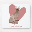 Suche nach rex mousepads Katze
