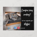 Suche nach lebende postkarten Katze
