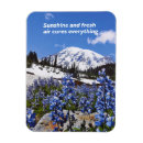 Suche nach sonnen magnete Land