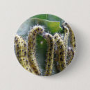 Suche nach raupen buttons Schmetterlinge