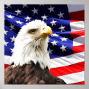 Suche nach amerikanischer adler poster Glatzenadler
