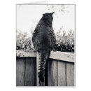 Suche nach wasserspeier postkarten Katze