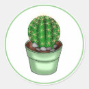 Suche nach lustiger kaktus aufkleber Sukkulent