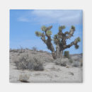 Suche nach mojave Natur