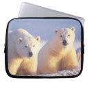 Suche nach eisbär laptop schutzhüllen Alaska
