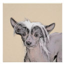 Suche nach chinesischer hund poster Haarlos