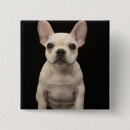 Suche nach französische bulldoggen buttons Tiere