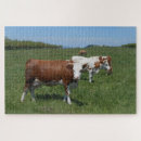 Suche nach braune kuh puzzle Gras