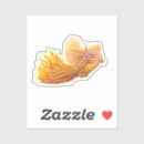 Suche nach birds autoaufkleber Orange