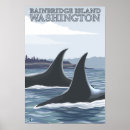 Suche nach orca poster Washington