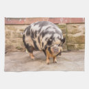 Suche nach lustige schweine geschirr tücher Tiere