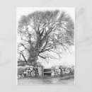 Suche nach elmer postkarten Baum