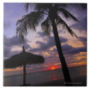 Suche nach aruba fliesen Wolke